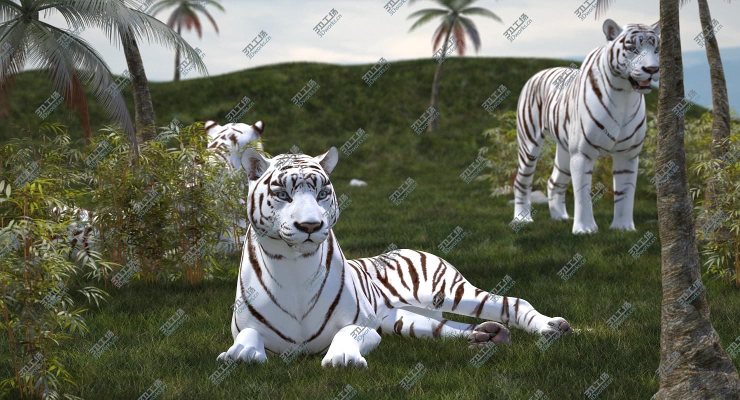 images/goods_img/2021040164/Lying White Tiger 3D Model 3D model/5.jpg